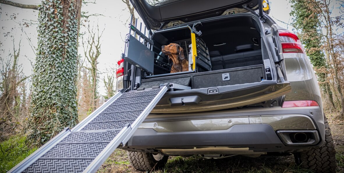 Hundebox und Hunderampe